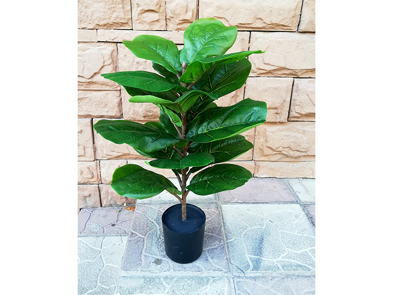 Искусственное растение Ficus Лирата 65 cm. 